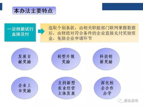 信息量超大，一图读懂新会“黄金十条” 解锁区域发展的关键信息咨询服务