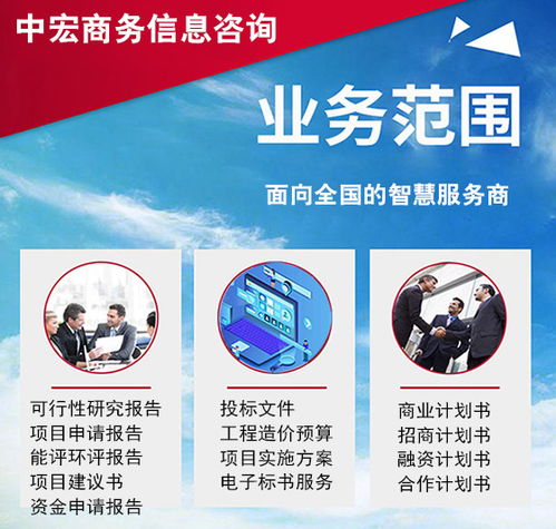 重庆信息咨询服务商业计划书代写策划案 专业撰写指南与核心要点